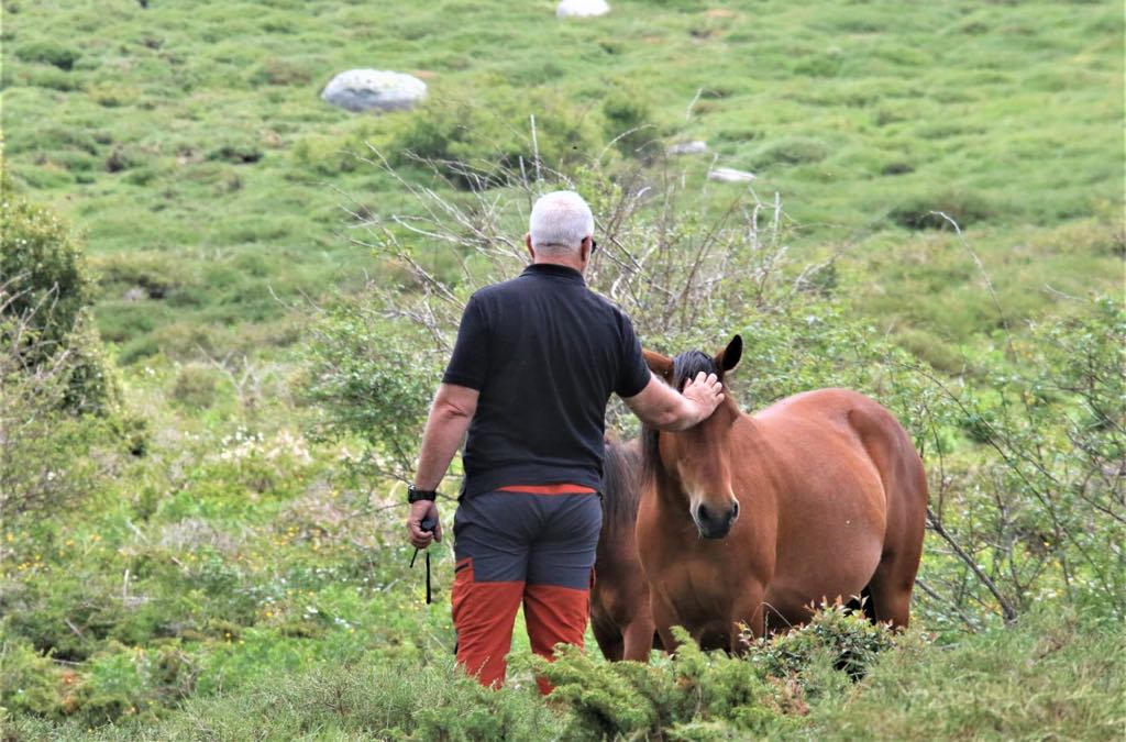 Un 4x4 blanc sur une piste de terre en Corse